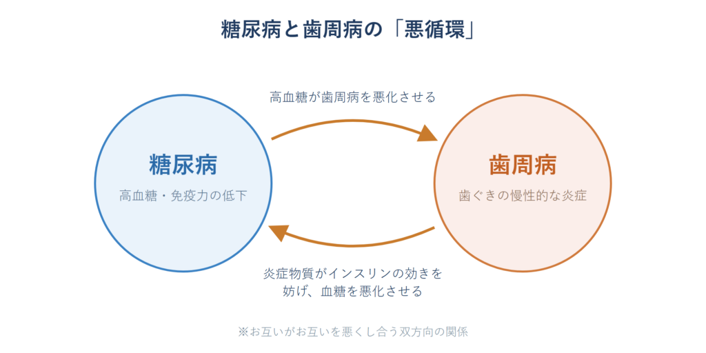 糖尿病と歯周病が互いを悪化させ合う双方向の悪循環を示した図