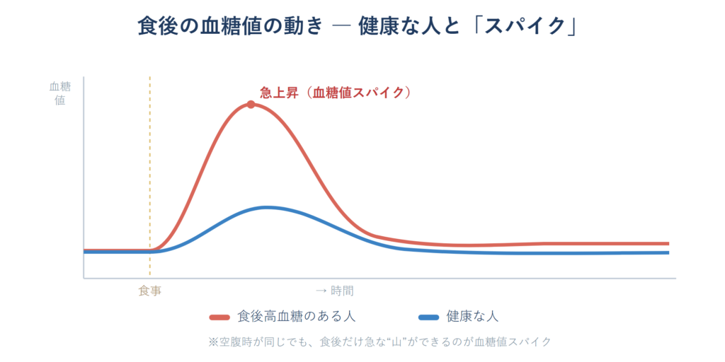 健康な人と食後高血糖のある人の食後血糖の動きを比較した折れ線グラフ
