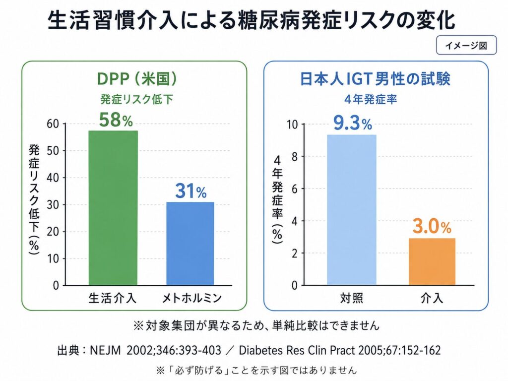 生活習慣介入による糖尿病発症リスク低下を示した研究結果のグラフ