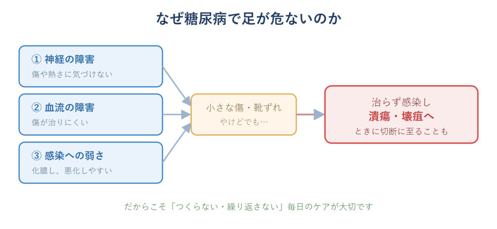 神経・血流・感染の3要因で小さな傷が潰瘍や切断につながる仕組みを示した図