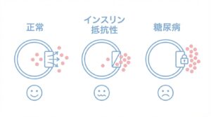 糖尿病とインスリン抵抗性