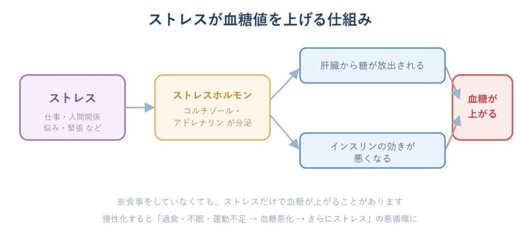 ストレスホルモンが肝臓からの糖放出とインスリン抵抗性を介して血糖を上げる仕組みの図
